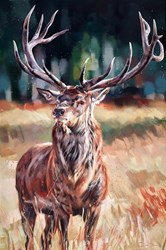 Majestic Stag by Debbie Boon - Original Painting on Box Canvas sized 39x59 inches. Available from Whitewall Galleries